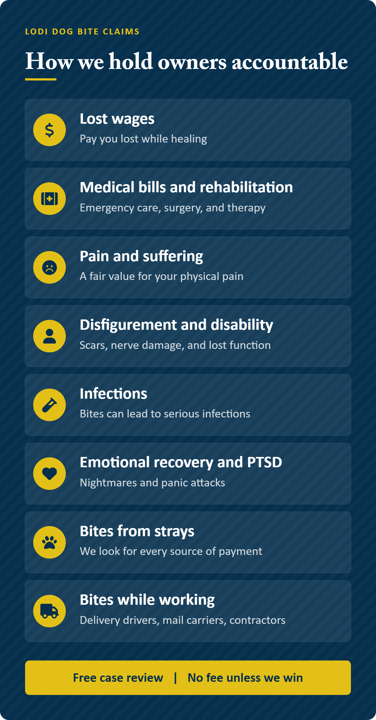 How our Lodi dog bite law firm holds owners accountable Infographic: how our Lodi dog bite law firm holds owners accountable, including lost wages, medical bills and rehabilitation, pain and suffering, disfigurement and disability, infections, emotional recovery and PTSD, bites from strays, and bites while working