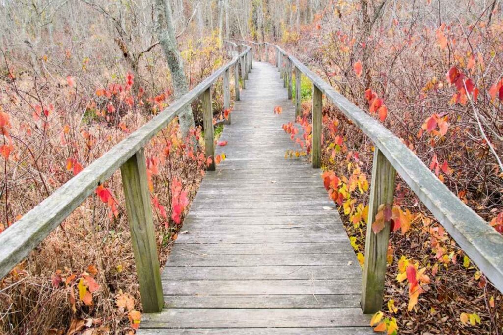 Piscataway Personal Injury Attorney piscataway park new jersey featured